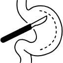 stomach 1