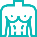 torso