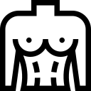 torso 1